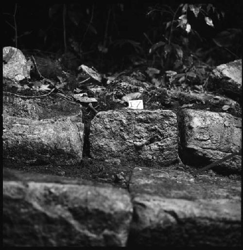 Stone I-7 from Hieroglyphic Stairway 1 of Structure 5 at Yaxchilan