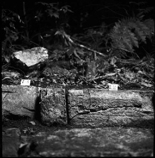 Stones I-8 and I-10 from Hieroglyphic Stairway 1 of Structure 5 at Yaxchilan