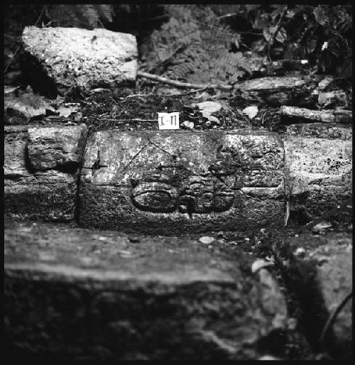 Stone I-11 from Hieroglyphic Stairway 1 of Structure 5 at Yaxchilan