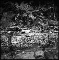 Stone I-12 from Hieroglyphic Stairway 1 of Structure 5 at Yaxchilan