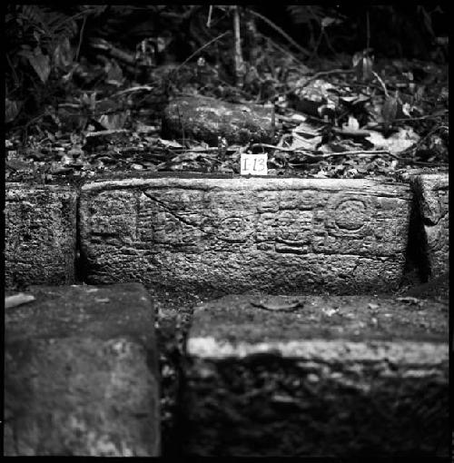 Stone I-13 from Hieroglyphic Stairway 1 of Structure 5 at Yaxchilan