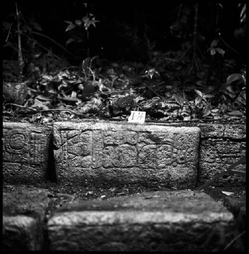 Stone I-14 from Hieroglyphic Stairway 1 of Structure 5 at Yaxchilan