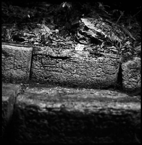 Stone I-15 from Hieroglyphic Stairway 1 of Structure 5 at Yaxchilan