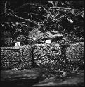 Stones I-17 and I-18 from Hieroglyphic Stairway 1 of Structure 5 at Yaxchilan