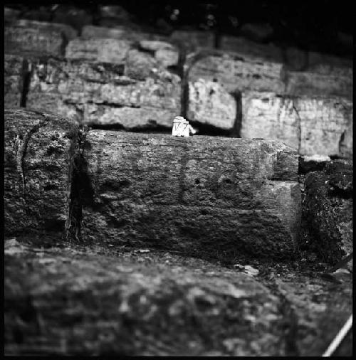 Stone V-7 from Hieroglyphic Stairway 1 of Structure 5 at Yaxchilan