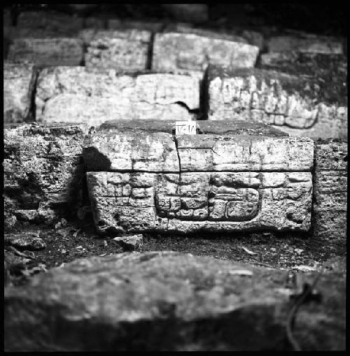 Stone V-10 from Hieroglyphic Stairway 1 of Structure 5 at Yaxchilan