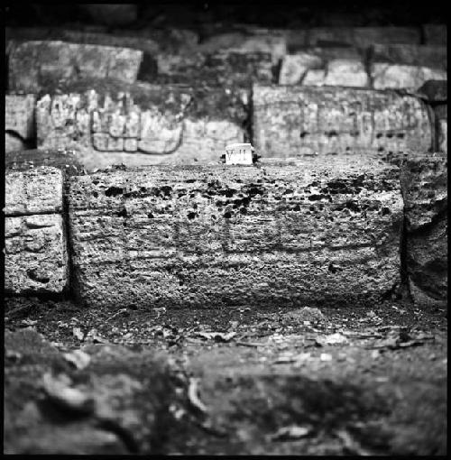 Stone V-11 from Hieroglyphic Stairway 1 of Structure 5 at Yaxchilan