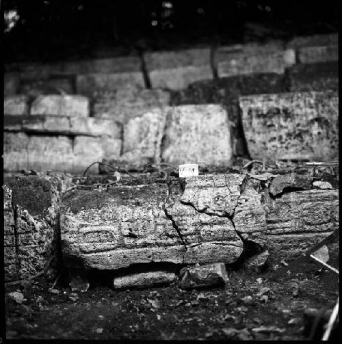 Stone V-14 from Hieroglyphic Stairway 1 of Structure 5 at Yaxchilan