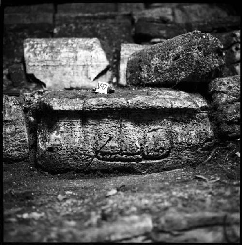 Stone V-17 from Hieroglyphic Stairway 1 of Structure 5 at Yaxchilan