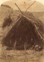 Nun ushuint - Paiute of the Uainuint tribe; (man reading inside brush tent)