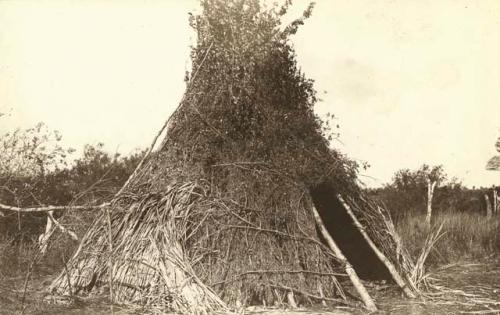 Lodge made of brush