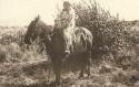 Young woman on horseback