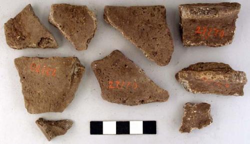 Ceramic sherds