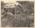 Brush house at Ross Ranch