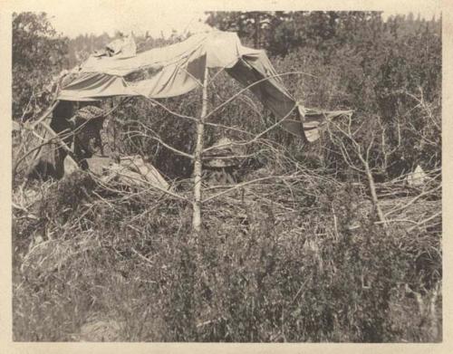 Brush house at Ross Ranch