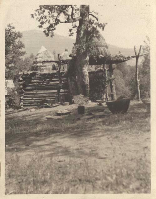 Acorn cache at Ross Ranch