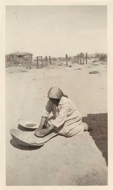 Rose Plummer grinding pine nuts