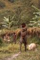 Tukom (Pua) with his pigs in the early morning.