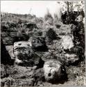 Shrine of the Toad, South side of Valley, S.SE. of the Main Structure