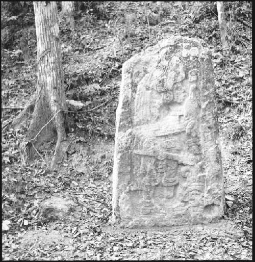 Stela 5 at Uaxactun