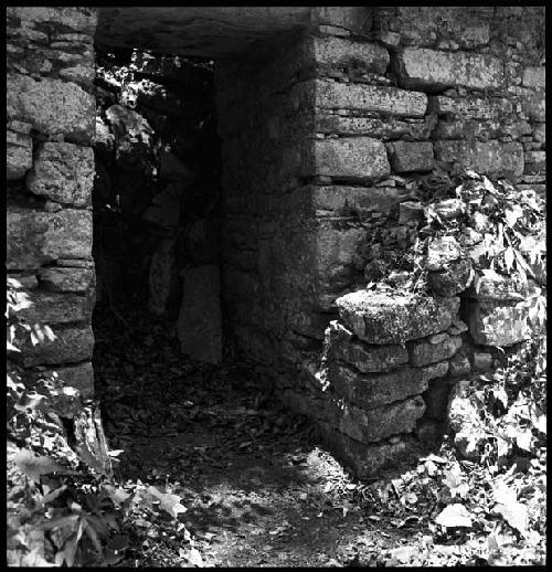 Central doorway of Structure 44 at Yaxchilan