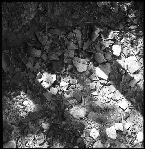 Sherds left by looters at Rio Azul