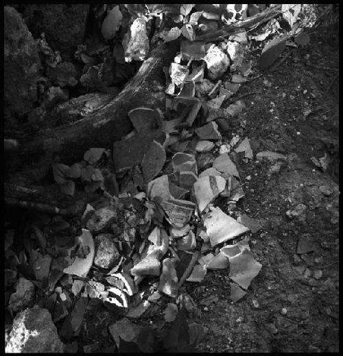 Sherds left by looters at Rio Azul