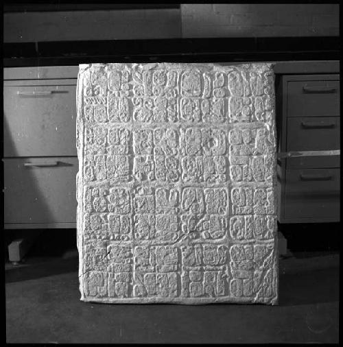 Plaster cast of lintel