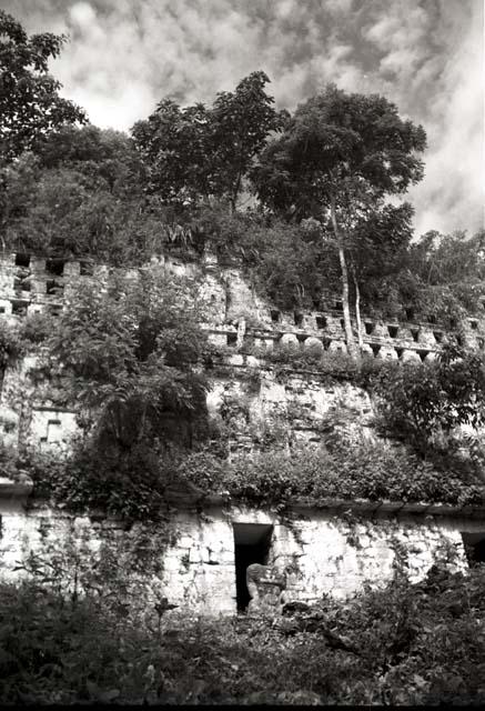 Structure 33 at Yaxchilan