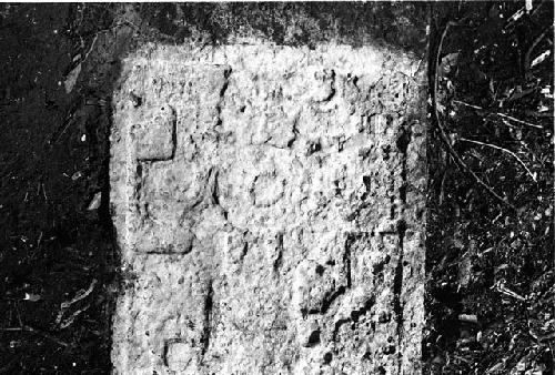 Detail of Stela 19 from Machaquila