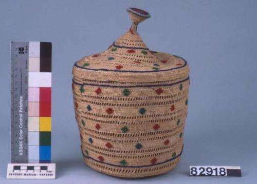 Unalaska basket and cover