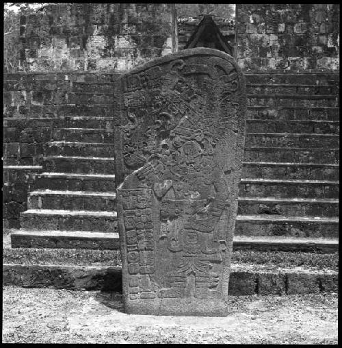 Stela 8 from Seibal