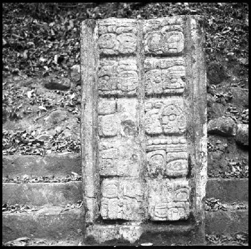 Stela 6 from Seibal