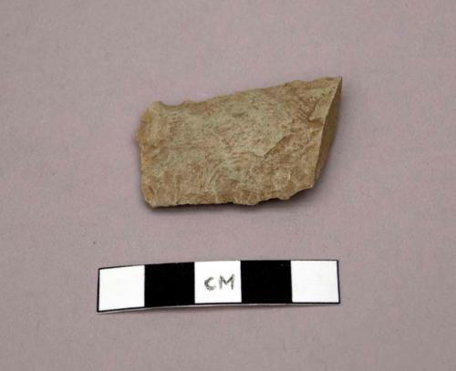 Fox Creek Lanceolate blade fragment