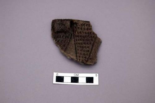 Sherd