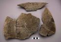 Plate, indented rim, sherds missing, and 14 sherds