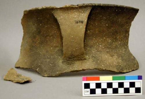 Ceramic, earthenware rim and handle sherd, one handle, flared rim, incised rim above handle, cord-impressed body, shell-tempered; ceramic, earthenware body sherd, incised and punctate, shell-tempered