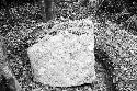 Stone object at Xultun