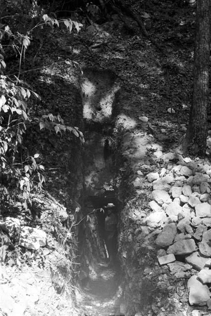 Excavation trench at Xultun