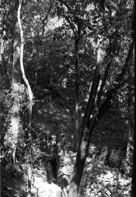 Excavation trench at Xultun