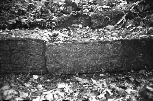 Stone from Hieroglyphic Stairway 2 at Tamarindito