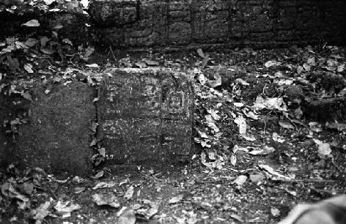 Stone from Hieroglyphic Stairway 2 at Tamarindito