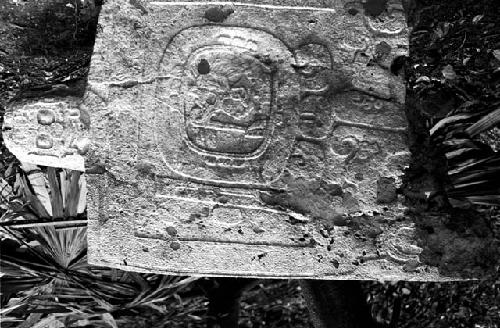 Fragment of Stela 13 at Machaquila