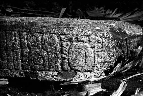 Stela 2 at Machaquila