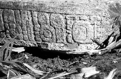 Stela 2 at Machaquila