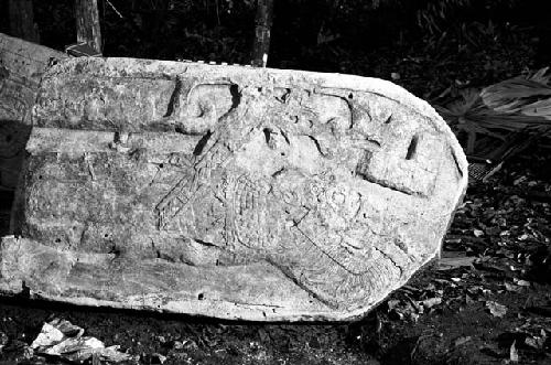 Fragment of Stela 12 at Machaquila