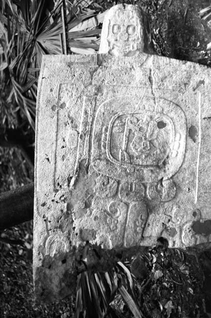 Fragment of Stela 12 at Machaquila