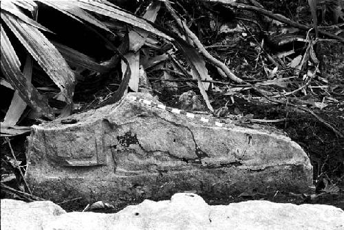 Fragment of Stela 12 at Machaquila