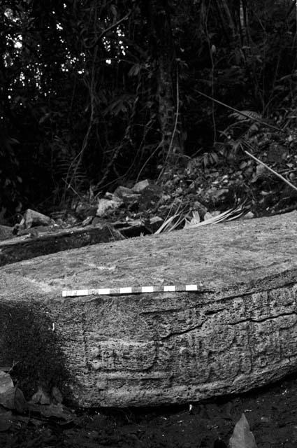 Stela 2 at Machaquila