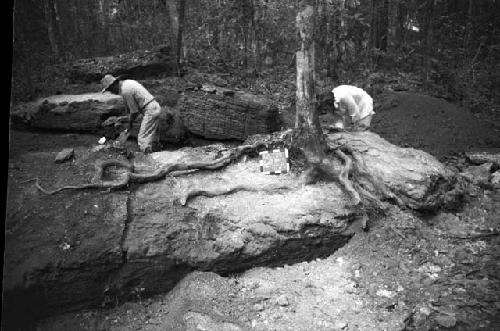 Cleaning Stela 25 at Xultun